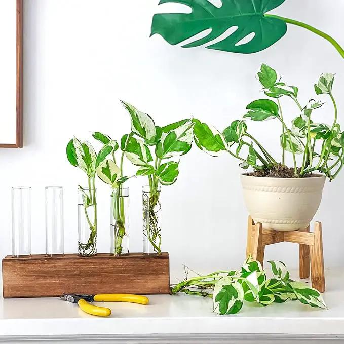 KAXYEW Plant Propagation Station, Plants Propagation Tubes, Gifts for Plant Lovers, Plants Cutting Holder Test Tube Vase Office Desk Garden Décor Gift for Her Mom Women Hydroponic Vase Gift Box by GreenHaven Gardens