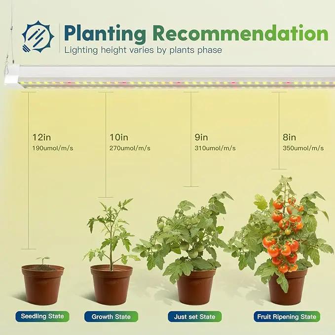 FREELICHT 1 Pack 4FT LED Grow Light with Timer, 40W (250W Equivalent), Full Spectrum Grow Lights for Indoor Plants with 9/12/15H Timer, Linkable Plant Growing Lamp for Hydroponic Plants Seeding Veg by GreenHaven Gardens