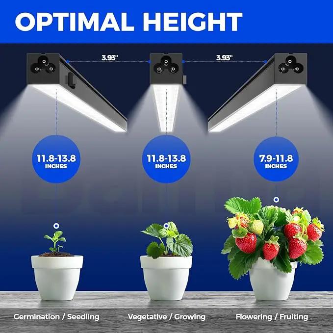 Barrina Plant Grow Lights, 5000K Full Spectrum Daylight White, T5 LED Grow Light Strips, 1ft Growing Lamp with Magnetic Bar, Plant Lights for Indoor Plants, Greenhouse, Black Cover, Linkable, 8 Packs by GreenHaven Gardens