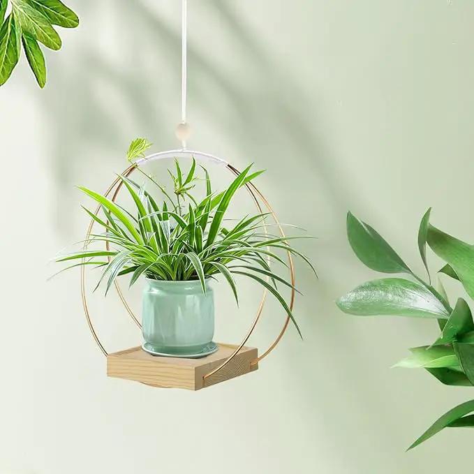 Hanging Planters for Indoor Plants, Plant Hanger with Sturdy Wood Base,Modern Boho Macrame Plant Hanger,Wall Ceiling Window Stands(Plants/Pots Not Included) by GreenHaven Gardens
