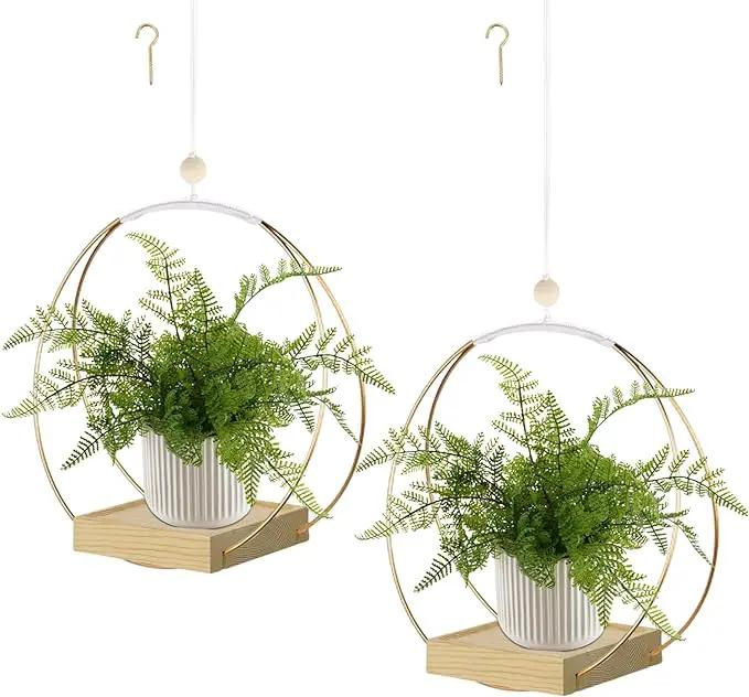 Hanging Planters for Indoor Plants, Plant Hanger with Sturdy Wood Base,Modern Boho Macrame Plant Hanger,Wall Ceiling Window Stands(Plants/Pots Not Included) by GreenHaven Gardens