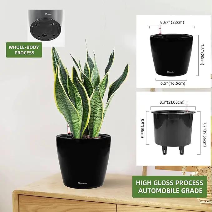 Dexceder 9x8 Inches High Gloss Self Watering Planter Indoor Outdoor, Inner Pot Design, Thickened Table Flower Plant Pot with Water Level Indicator (Black) by GreenHaven Gardens