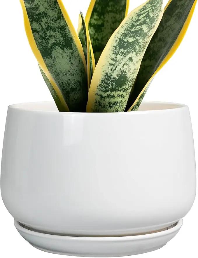 G EPGardening Ceramic Pots for Plants - 7 Inch Planter for Indoor Plants, Round Flower Pots with Drainage and Saucer, Modern Outdoor Planter, Garden Decor, Home Gifts, White by GreenHaven Gardens