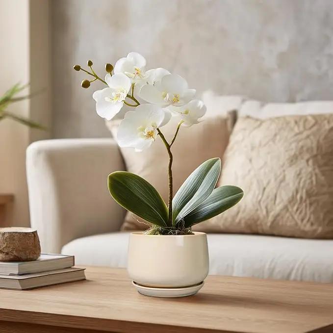 G EPGardening 4 inch Plant Pots - Ceramic Planter with Drainage Hole & Saucer, Small Plant Pots for Indoor Outdoor, Round Succulent Pot, Modern Decorative Flower Pot, Desk Decor, Garden Gifts, Beige by GreenHaven Gardens