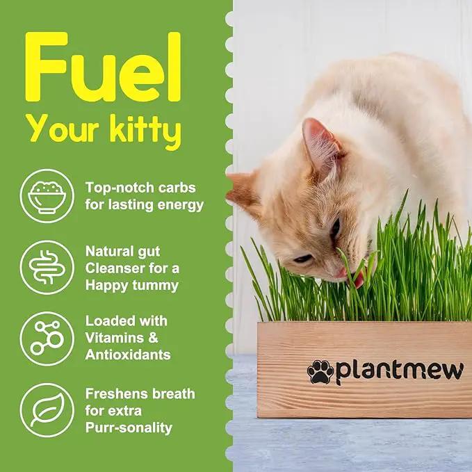 Organic Cat Grass Kit for Indoor Cats - 3 Pack with Cat Grass Seeds, Nutrient Soil & Planter Pots | Complete Growing Set for Fresh Pet Grass (Non-GMO Wheat Grass) by GreenHaven Gardens