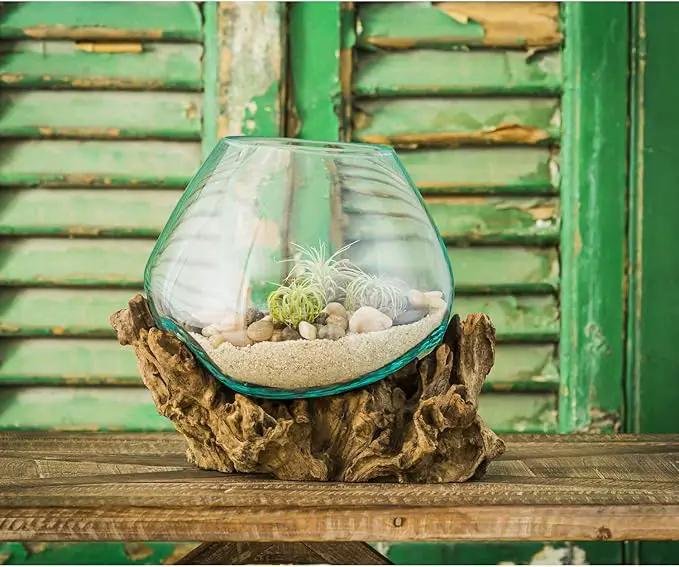 Cape Craftsmen 10" H Hand-Blown Blue Tinted Bubble Glass On Natural Teak Driftwood Terrarium | Home Décor Indoor Planter with Stand | Pot for Succulent and Plants by GreenHaven Gardens