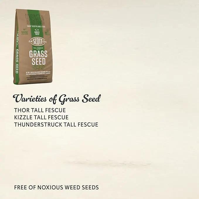 O.M. Scott and Sons Tall Fescue Blend Grass Seed, Fertilizer and Soil Improver, Naturally Crowds Out Weeds, Covers Up to 2,000 sq. ft., 8 lbs. by GreenHaven Gardens