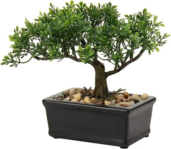 Artificial Bonsai Tree Juniper Faux Plants Indoor Small Fake Plants Decor with Ceramic Pots for Home Table Office Desk Bathroom Shelf Bedroom Living Room Farmhouse Decorations by GreenHaven Gardens