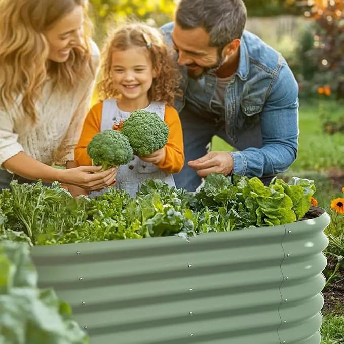 4x2x2ft Oval Galvanized Raised Garden Bed Kits Outdoor Large Metal Modular Planter Box 9-in-1 Raised Beds for Gardening,Vegetables,Fruits,Flowers & Herbs (Green) by GreenHaven Gardens