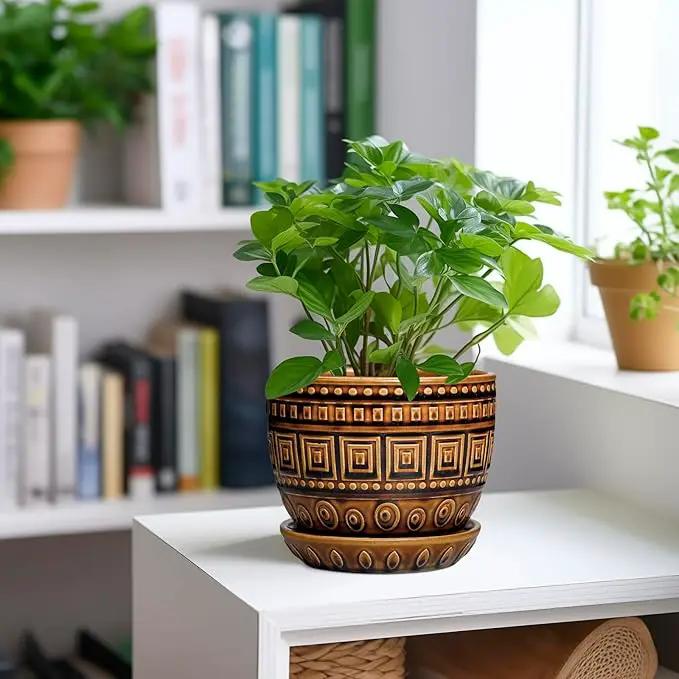 G EPGardening Succulent Pot 5.5 Inch - Ceramic Plant Pot for Indoor Plants Outdoor, Round Boho Planter with Drainage Hole and Saucer, Gifts for Plant Lovers, Office Home Garden Decor, Brown by GreenHaven Gardens