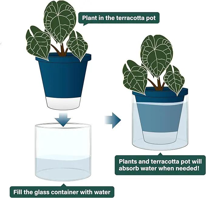 D'vine Dev 6 Inch Design Self Watering Planter for Indoor Plants, Blue Terracotta Pot with Cylinder Glass Cup, 37-X-B-4 by GreenHaven Gardens
