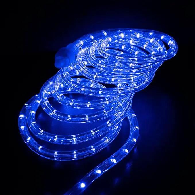 100ft LED Rope Lights Outdoor, 720 LED Connectable and Flexible Tube Lights with 8 Modes, Waterproof LED Rope Lighting for Garden, Patio, Bedroom, Party, Pool, Indoor Outdoor Xmas Decoration (Blue) by GreenHaven Gardens