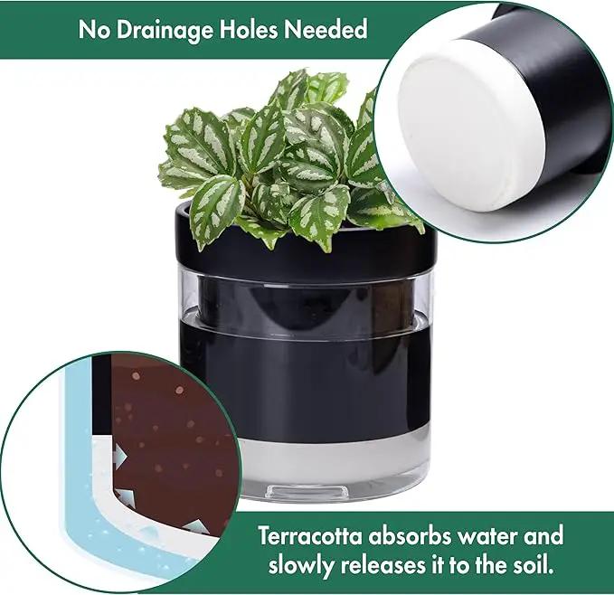 Phoenix Vine 6 Inch Self Watering Terracotta Planter, Black Terracotta Clay Pot with Glass Reservoir for Indoor Plants, Herbs, Flowers, Set of 1, 52-C-F-1 by GreenHaven Gardens