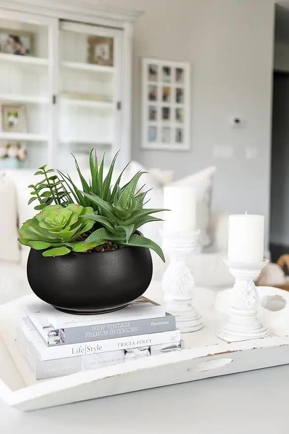 Fake Plants Artificial Succulents in Pots Faux Succulent Arrangement Potted Plant with Black Ceramic Pot for Home Decor Modern Office Desk Bathroom Shelf Living Room Indoor & Outdoor Decoration by GreenHaven Gardens