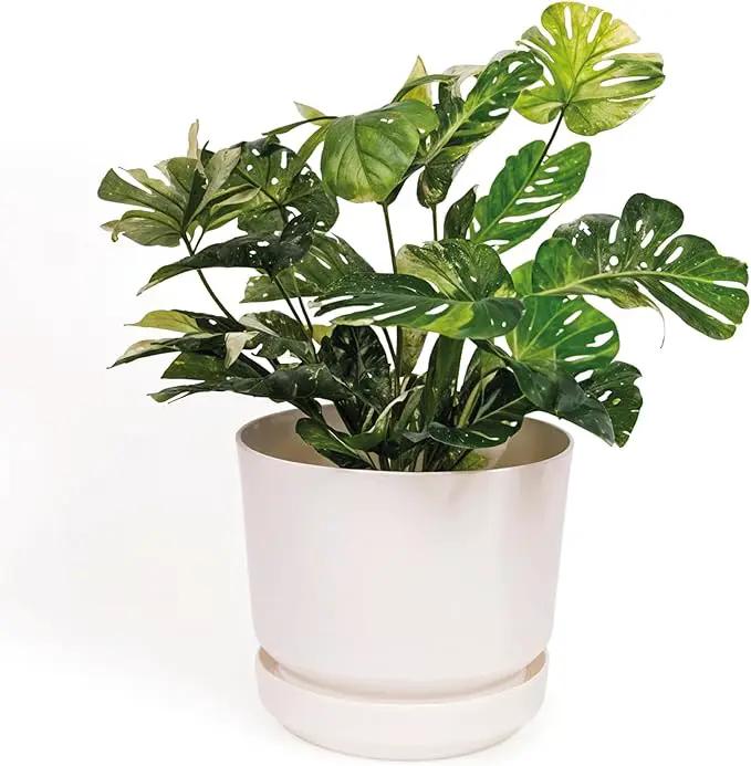 Elly Décor 12 inch Plastic Cylinder Planter Pot with Self-Watering Saucer and Drainage Hole,Lightweight & Extremely Durable, 12"x 12", White by GreenHaven Gardens
