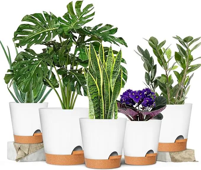 GARDIFE Plant Pots 7/6.5/6/5.5/5 Inch Self Watering Planters with Drainage Hole, Plastic Flower Pots, Nursery Planting Pot for All House Plants, African Violet, Flowers, and Cactus,White by GreenHaven Gardens