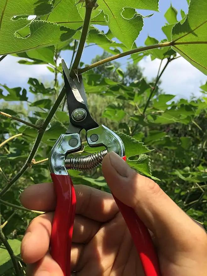 gonicc Professional Micro-Tip Pruning Snip (GPPS-1008), Small Garden Hand Pruner & shears For Arranging Flowers, Trimming Plants & Hydroponic Herbs, And Harvesting Fruits & Vegetables. by GreenHaven Gardens