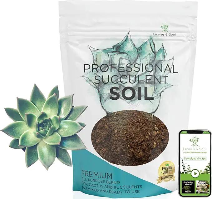 Succulent Soil Premium All Purpose Blend | Large 2.2 Quarts | Pre-Mixed Ready to Use for Cactus and Succulents | Canadian Peat, Course Sand, Pinebark | Made in USA by GreenHaven Gardens