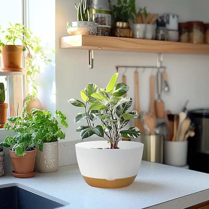 8 Inch Pots for Indoor Plants, Self Watering Planters with Drainage and Saucers, Plastic Outdoor Flower Pot, Set of 2, White by GreenHaven Gardens