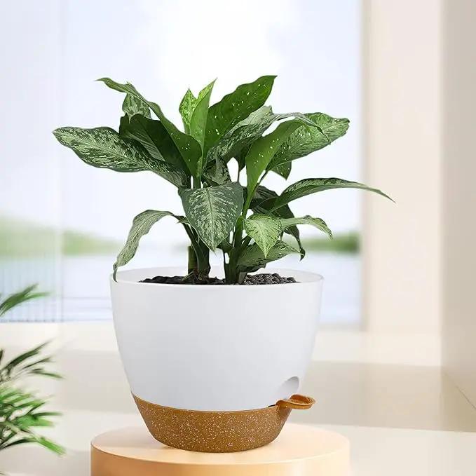 12 inch Large Self Watering Pots for Indoor Outdoor Plants, Plant Pots with Mesh Drainage Holes for Garden House Plants, Plastic Planters with Reservoir for Flower Plants, White with Brown by GreenHaven Gardens