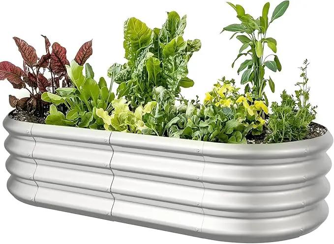 4x2x1ft Oval Galvanized Raised Garden Bed Outdoor 9-in-1 Large Metal Modular Planter Box Raised Beds for Gardening,Vegetables,Fruits,Flowers & Herbs (Silver) by GreenHaven Gardens