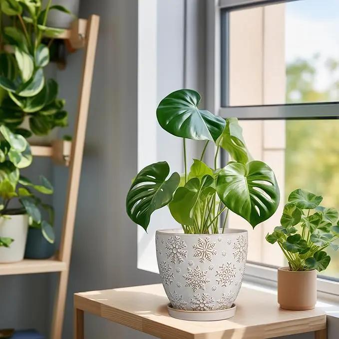 6 Inch Plant Pot with Drainage Hole and Saucer Ceramic Planter for Indoor Plant Flower Pot for Orchid Succulents Plants White by GreenHaven Gardens