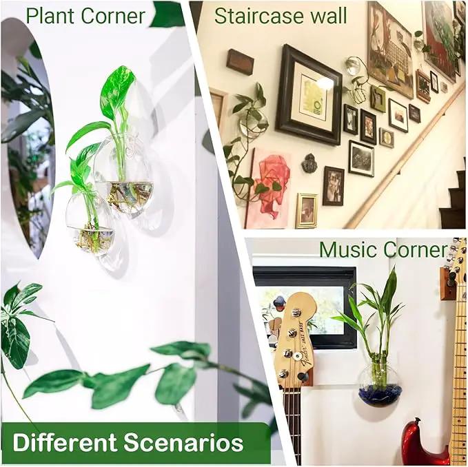 Ivolador Wall Hanging Planter Propagation Station Glass Flower Vase for Hydroponics Plants, Home Office Living Room Decor Gift, Set of 4 by GreenHaven Gardens
