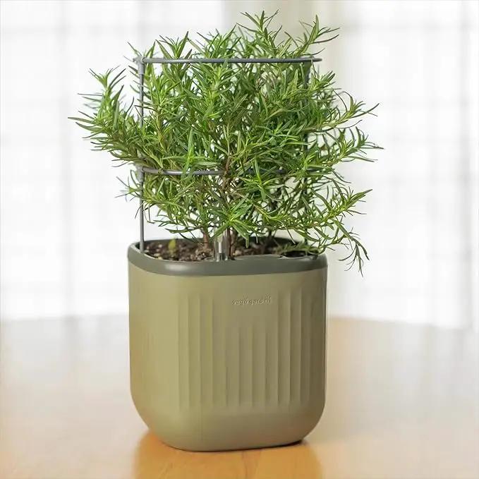 Vego garden Mini Planter Indoor Pots with Trellis Self-Watering Herb Countertop Planter for Climbing Vegetables Flowers Mint Plants Cage- Sage Green by GreenHaven Gardens