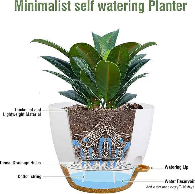 12 inch Large Self Watering Pots for Indoor Outdoor Plants, Plant Pots with Mesh Drainage Holes for Garden House Plants, Plastic Planters with Reservoir for Flower Plants, White with Brown by GreenHaven Gardens