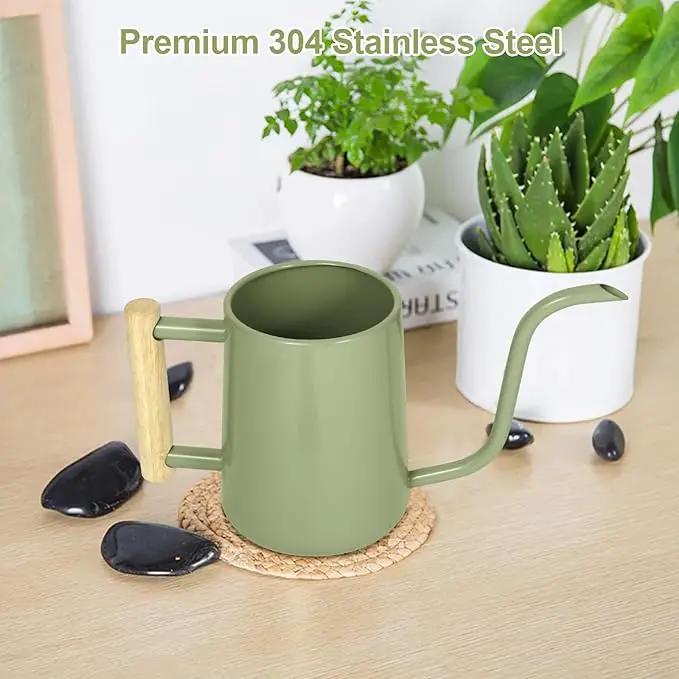 Watering Can Indoor Plants, 35 oz/1000 ml Metal Stainless Steel Watering Can Pot with Long Spout for Indoor House Plants Bonsai Outdoor Garden Flower Decorative (Sage Green) by GreenHaven Gardens