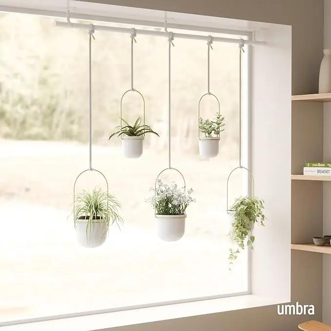 Umbra Triflora Hanging Planter for Window, Indoor Herb Garden, Set of 5, White/Brass by GreenHaven Gardens