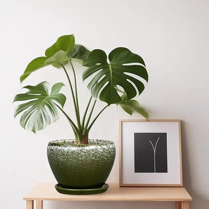 6 Inch Plant Pot - Ceramic Planter Pot with Drainage Hole and Saucer, Glaze Succulent Pot Modern Round Flower Pot for Indoor Plants, Dark Green by GreenHaven Gardens