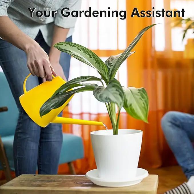 Watering Can for Indoor Outdoor Plants, Modern Small Watering Cans with Removable Nozzle, Long Spout Watering Can for Indoor Bonsai Plants Garden Flowers 1/2 Gallon 1.8L 60OZ (Yellow) by GreenHaven Gardens