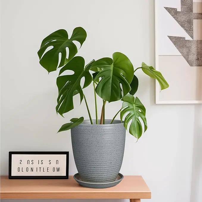 8 Inch Plant Pot Ceramic Planter Pot with Drainage Hole and Saucer Modern Round Flower Pot for Indoor Plants Light Gray by GreenHaven Gardens
