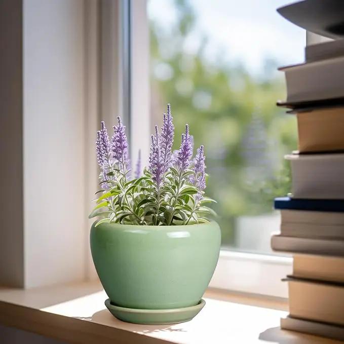 6 Inch Plant Pot - Ceramic Planter for Indoor Plants Round Planter Outdoor Plant Pot with Drainage Hole and Saucer Modern Flower Pot for Succulent Garden Green by GreenHaven Gardens