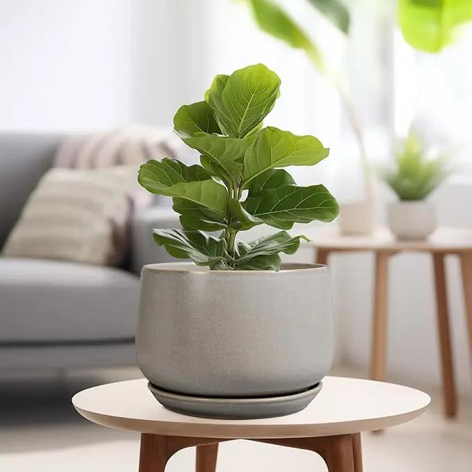 G EPGardening Ceramic Planter 9 Inch - Round Modern Plant Pots with Drainage and Plant Saucer Indoor Outdoor for Flower, Vanity Decor, House Gifts, Retro Grey by GreenHaven Gardens