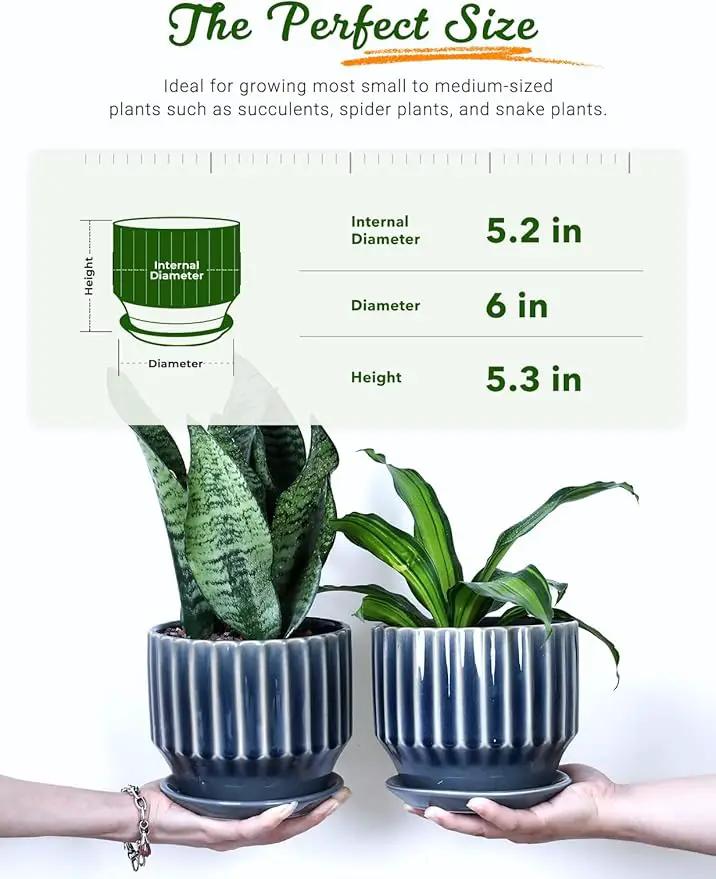 AISBUGUR Plant Pots 6 inch Ceramic Pots for Indoor Plants Set of 2 Flower Pots Unique Crackle Glaze Design Plant Pots with Drainage Hole and Saucer Come with Drainage Nets (Grey) by GreenHaven Gardens