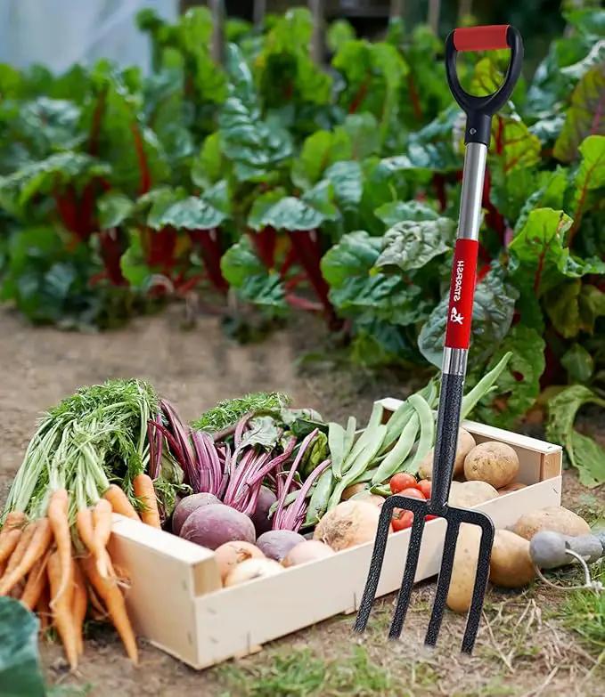 Garden Digging Forks with Premium 4-Tine Forged Steel Digging Fork D-Grip Handles 41" Sturdy Metal D-Handle Virtually Unbreakable Gardening Tool 2 Pcs by GreenHaven Gardens