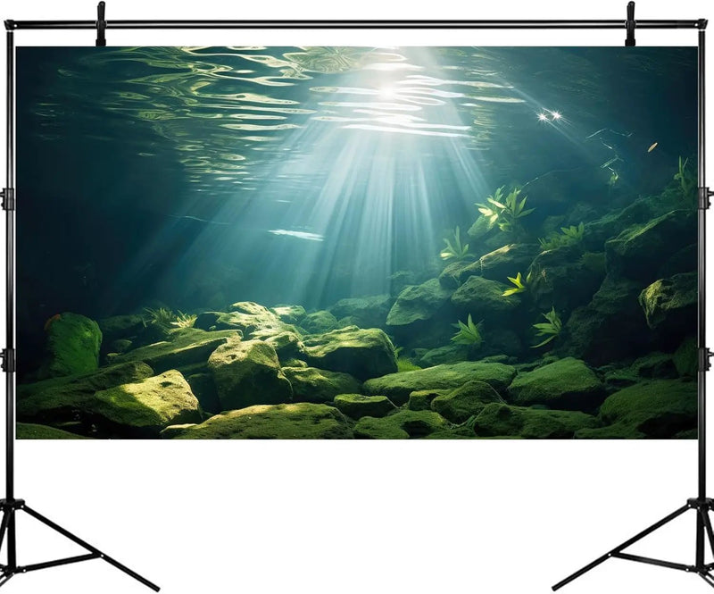 Under The Sea Aquarium Background Aquatic Plants Deep Sea Fish Tank Background Underwater Sunray Rock Terrarium Backgrounds Deep Ocean Floor Tropical Fish Tank Backgrounds 24x16in by GreenHaven Gardens