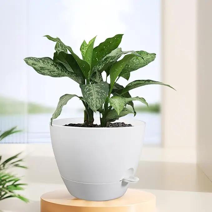 12 inch Large Self Watering Pots for Indoor Outdoor Plants, Plant Pots with Mesh Drainage Holes for Garden House Plants, Plastic Planters with Reservoir for Flower Plants, White by GreenHaven Gardens