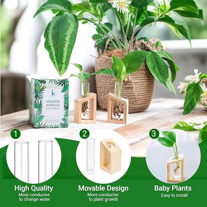 Ivolador Plant Propagation Station, Plant Propagation Tubes,Gifts for Plant Lovers,Plants Cutting Holder Office Desk Garden Décor Gifts for Mom Women Hydroponic Vase Gift Box by GreenHaven Gardens
