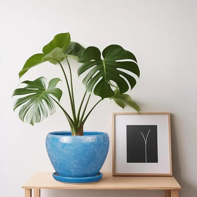 6 Inch Plant Pot - Ceramic Planter Pot with Drainage Hole and Saucer, Glaze Succulent Pot Modern Round Flower Pot for Indoor Plants, Blue by GreenHaven Gardens