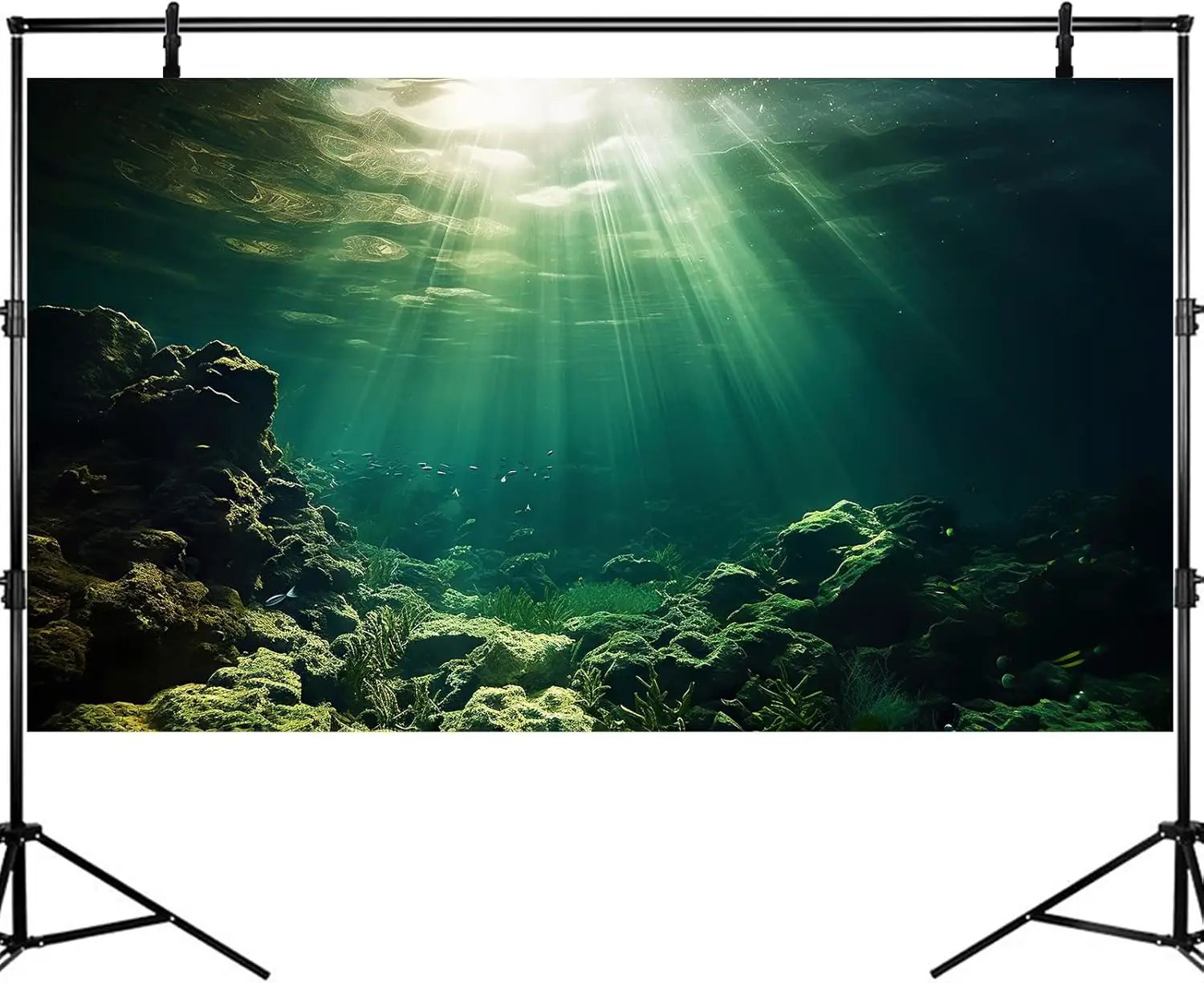 Under The Sea Aquarium Background Underwater Fish Tank Background Ocean Floor Rock Cave Sunray Terrarium Backgrounds Tropical Fish Ocean World Aquarium Reptile Tank Backgrounds 36x24in by GreenHaven Gardens