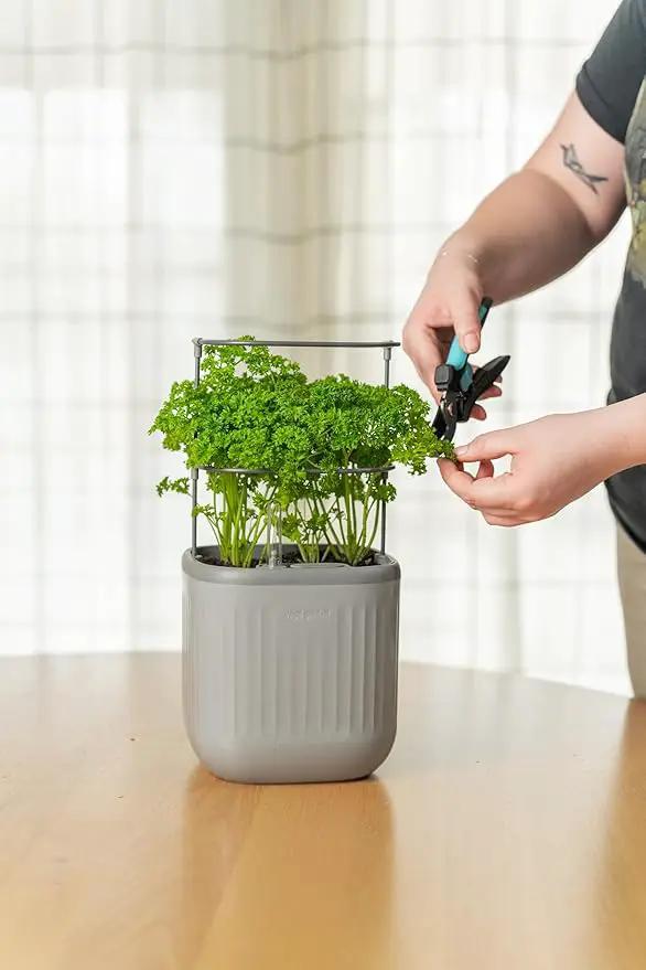 Vego garden Mini Planter Indoor Pots with Trellis Self-Watering Herb Countertop Planter for Climbing Vegetables Flowers Mint Plants Cage- Fog Gray by GreenHaven Gardens