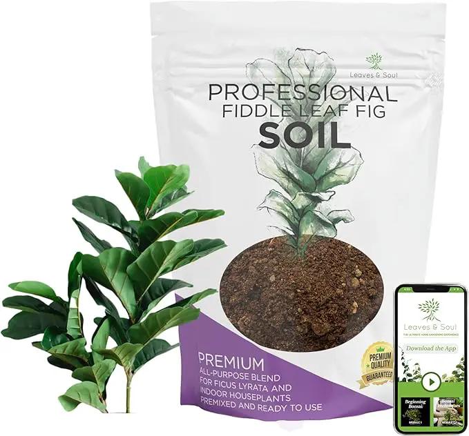 Large Bag Houseplant Fiddle Leaf Fig Soil Premium All Purpose Blend | Ready to Use for Indoor Houseplants | Peat, Sawdust, Course Sand and Pinebark | Extra Large 8.2 Quarts | Made in USA by GreenHaven Gardens