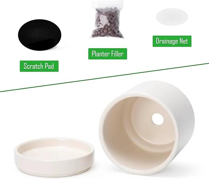 D'vine Dev Set of 4 Small Ceramic Plant Pots, 3.5 Inch Succulent Planter Pot for Plants with Drainage Hole and Saucer, Oatmeal, 94-X-A-8 by GreenHaven Gardens