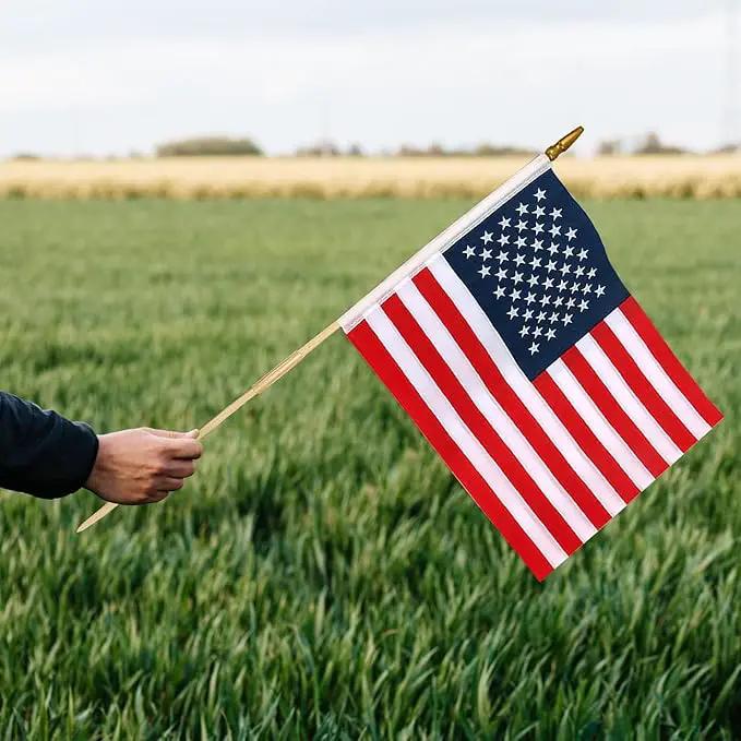 100 Pcs 12x18 Inch American Flags on Stick, American Flags, USA Stick Flag with Handheld and Grounded Multi-Purpose Flagpole, Design for Memorial Day, 4th of July, Veterans Day by GreenHaven Gardens