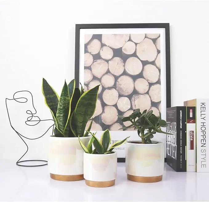 Gepege White Indoor Pots for Plants, Ceramic Planter with Drainage Hole, 6.0 inch+5.0 Inch+4.0 Inch. Succulent Orchid Flower Pot - Rainbow Pearl Glaze by GreenHaven Gardens