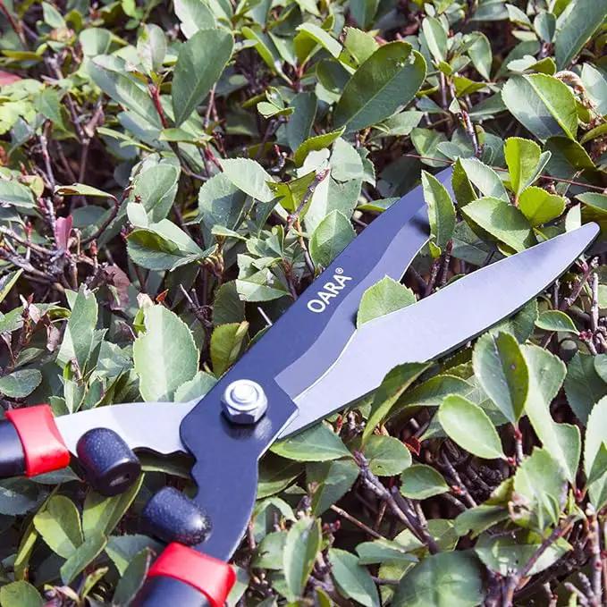 OARA Garden Hedge Shears forTrimming Borders, Boxwood, and Bushes, Hedge Clippers & Shears with Comfort Grip Handles,21 Inch Carbon Steel Bush Cutter by GreenHaven Gardens