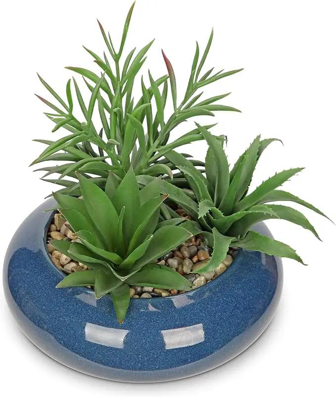 Hollyone Large Artificial Succulents Plants with Blue Vase Faux Succulents Fake Succulent Potted Plant in Ceramic Pot for Home Decor Office Desk Bathroom Living Room Indoor & Outdoor Decorations by GreenHaven Gardens